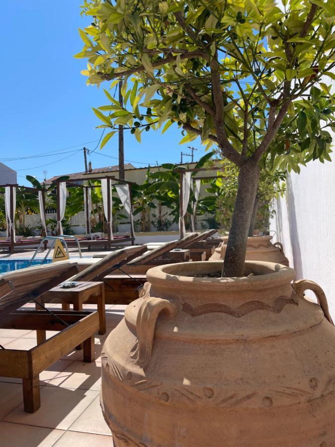 Oasis Beach Club カボス エクステリア 写真